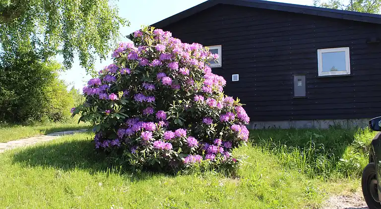 Feriebolig ved Egsmark Strand