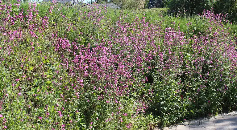 Feriebolig ved Egsmark Strand