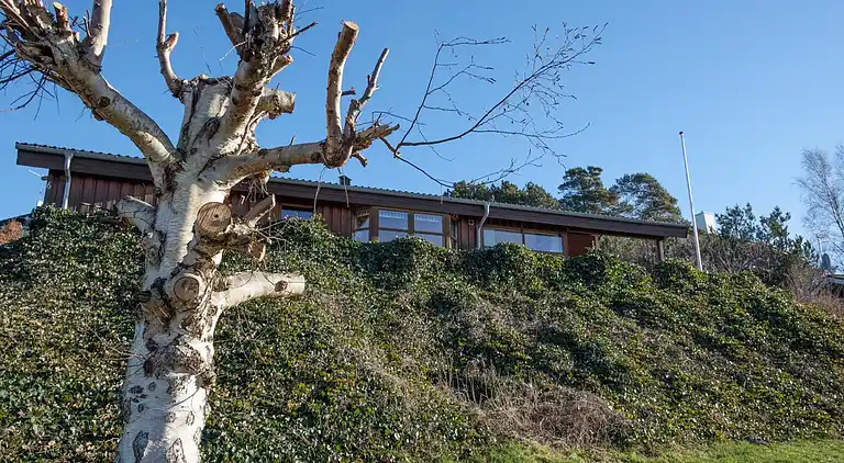 Feriebolig ved Handrup Strand