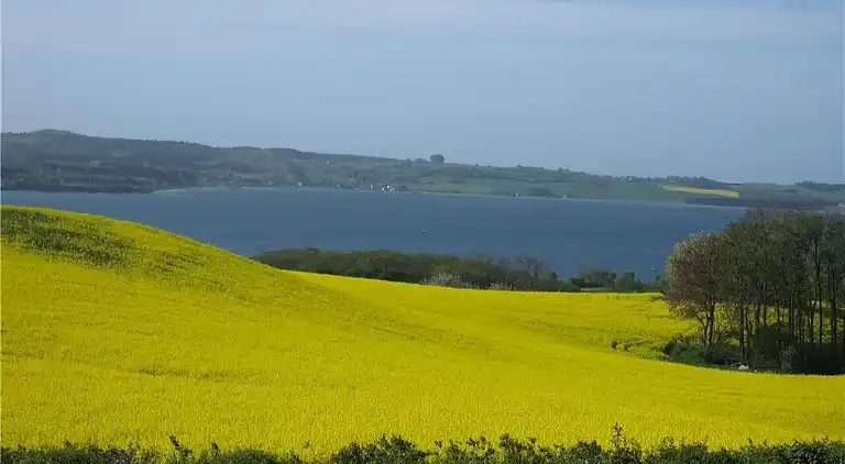 Holiday home in Knebel