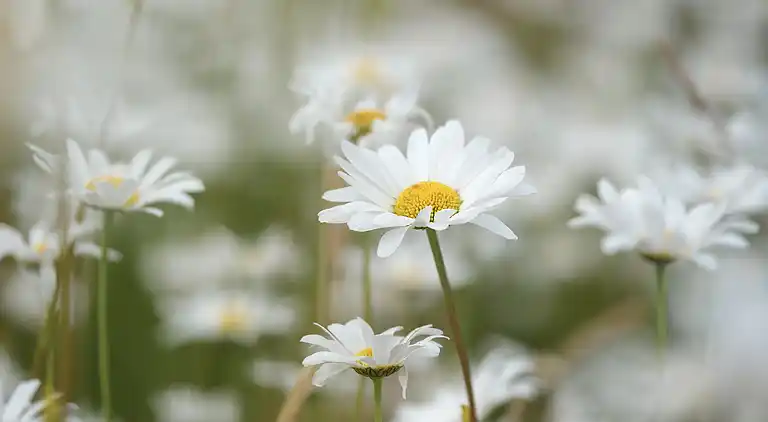 Holiday home in Knebel