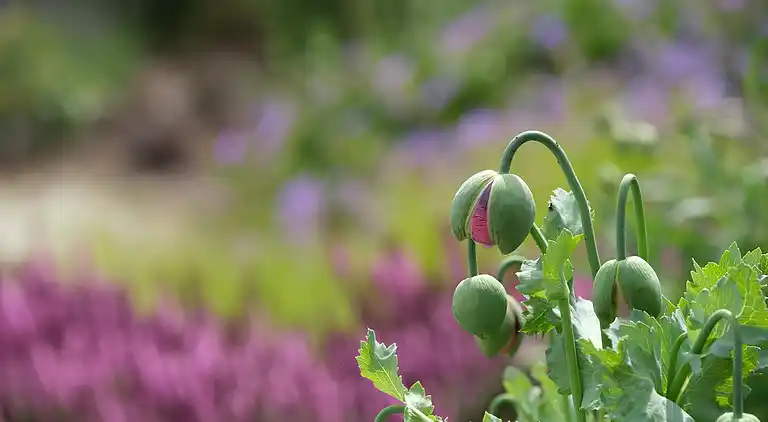 Holiday home in Knebel