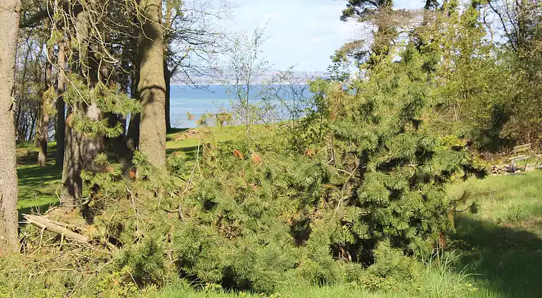 Holiday home in Knebel