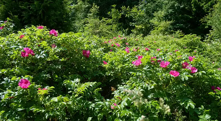 Holiday home in Handrup Strand