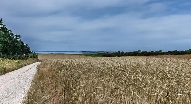 Holiday home in Knebel