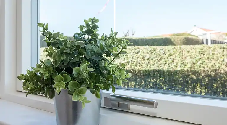 Feriebolig ved Følle Strand