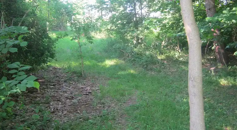 Semesterbostad vid Bønnerup Strand