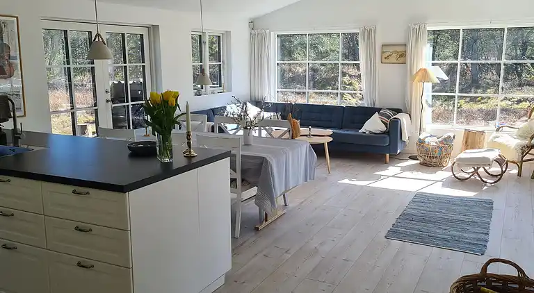 Ferienhaus in Skagen