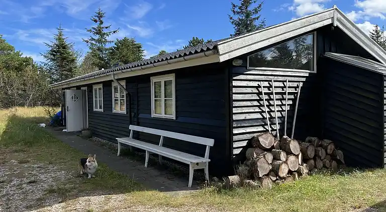 Ferienhaus in Skagen