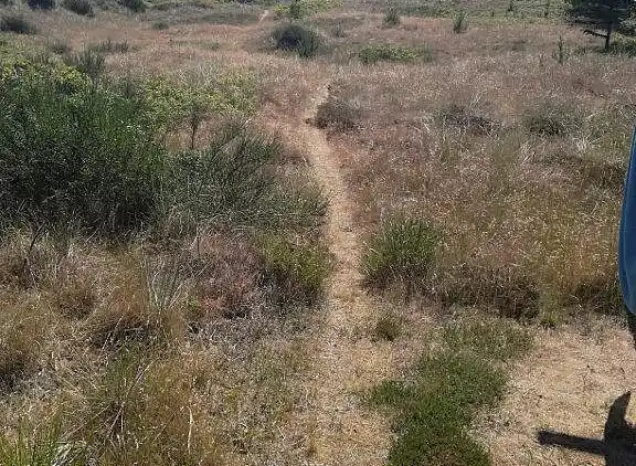 vakantiehuis in Skagen