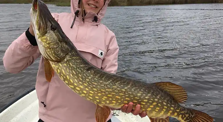 Feriebolig i Ronneby