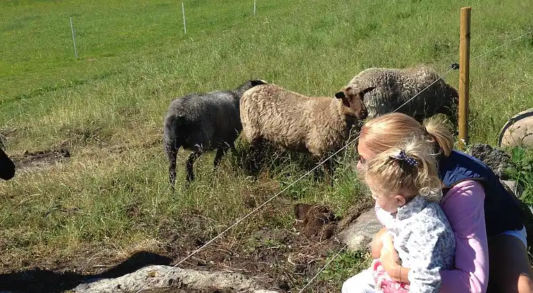 Holiday home in Orust