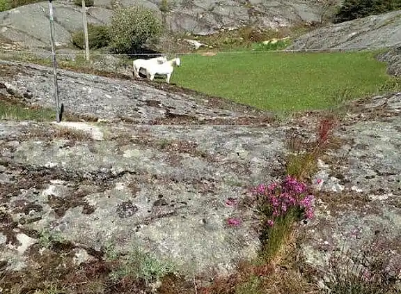 Holiday home in Orust