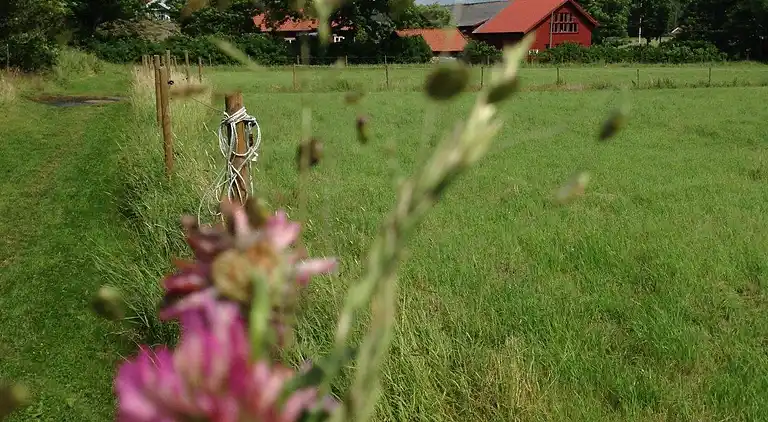 Holiday home in Orust