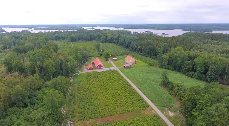 Holiday home in Tingsryd NV