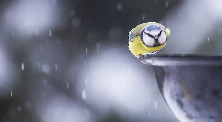 Semesterbostad i Mark Ö