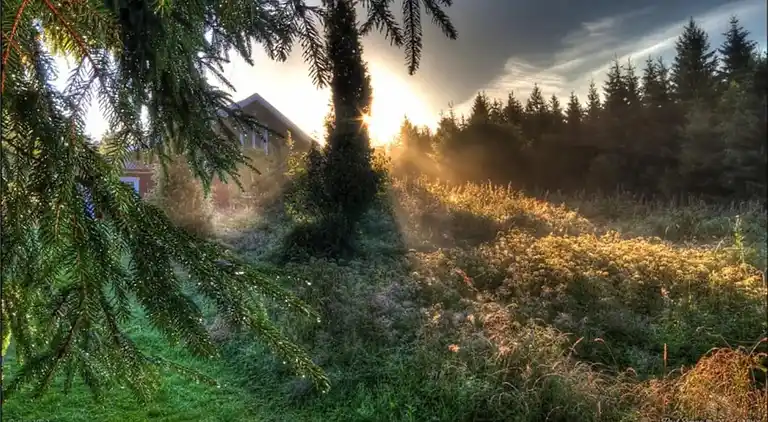 Semesterbostad i Mark Ö