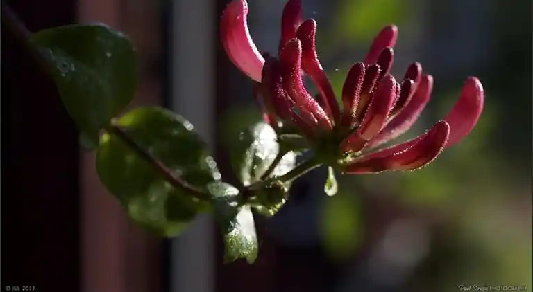 Semesterbostad i Mark Ö