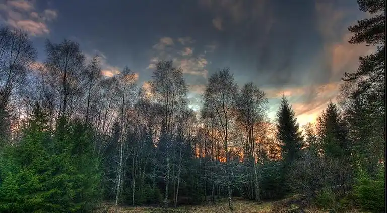 Semesterbostad i Mark Ö