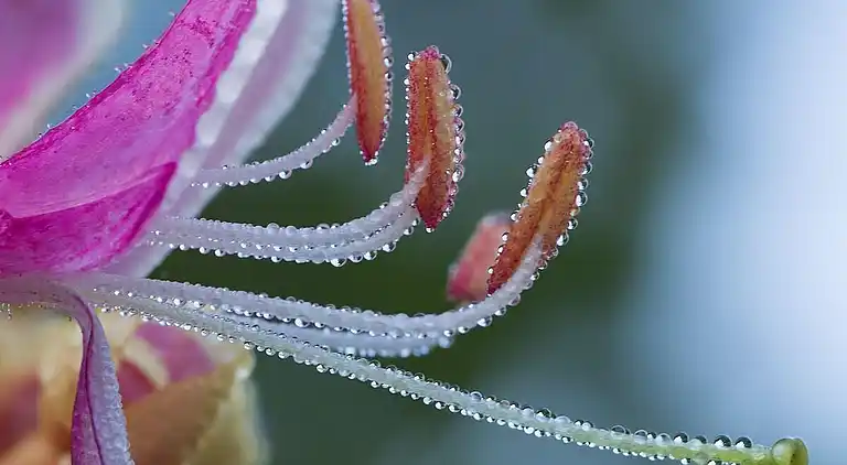 Semesterbostad i Mark Ö