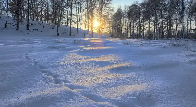 Semesterbostad i Mark Ö