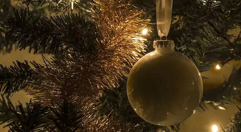 Semesterbostad i Mark Ö