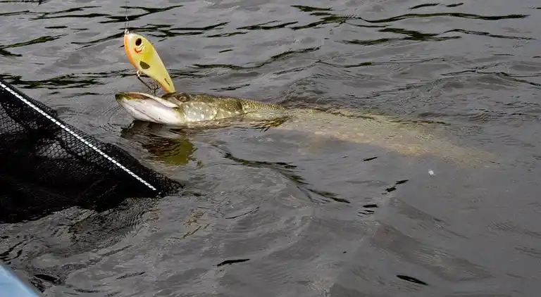 Feriebolig i Alingsås