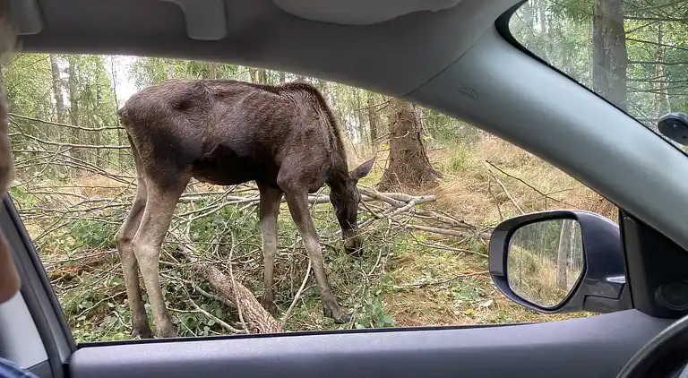 Feriebolig i Sävsjö N