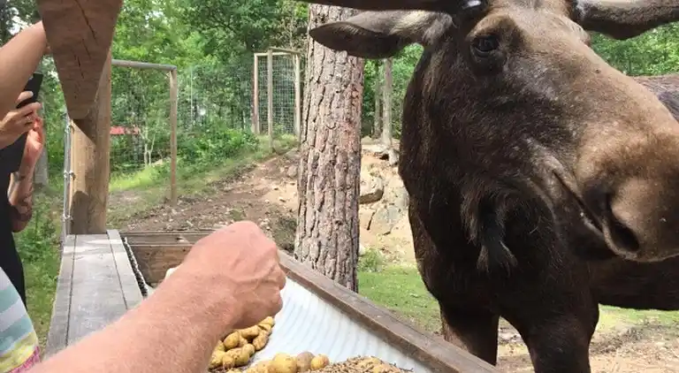 Feriebolig i Hultsfred S