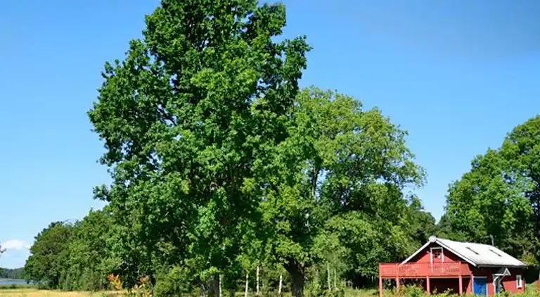 Holiday home in Mellerud Ö