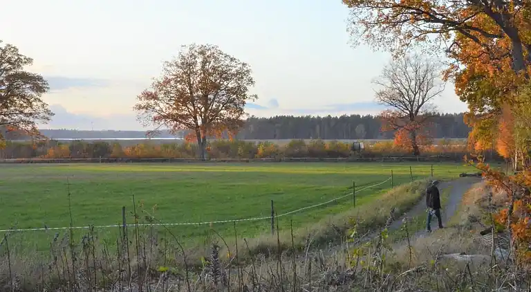 Holiday home in Mellerud Ö