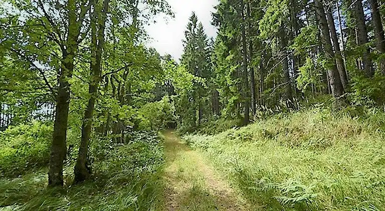 Holiday home in Mellerud Ö
