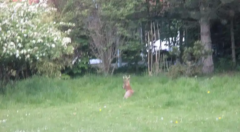 Feriebolig i Nykøbing Sjælland