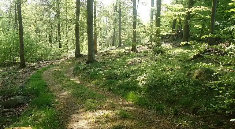 Sommerhus i Svenstorp