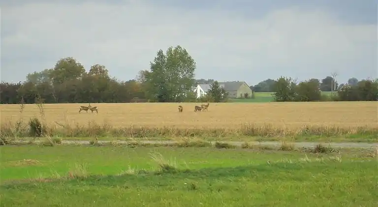 Holiday home in Skåne