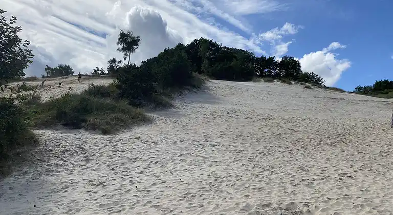 Feriebolig ved Hvidbjerg Strand