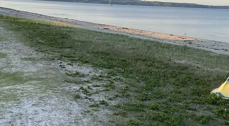 Feriebolig ved Hvidbjerg Strand