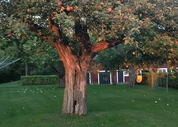 Maison de vacances au Rökulla