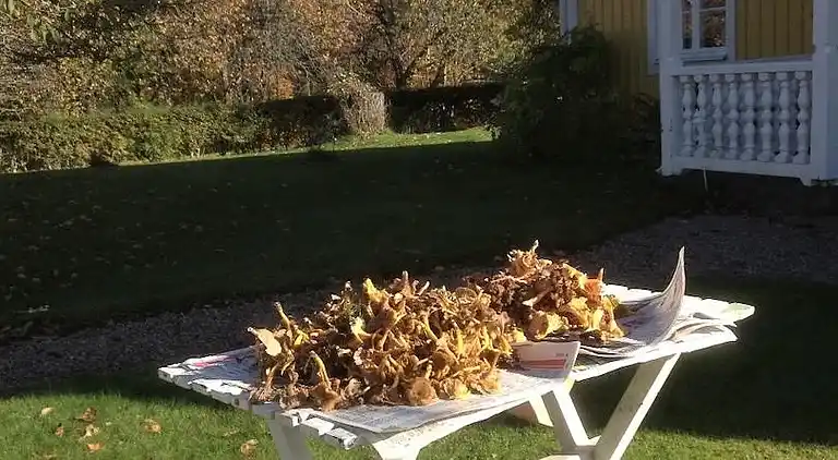 Maison de vacances au Rökulla