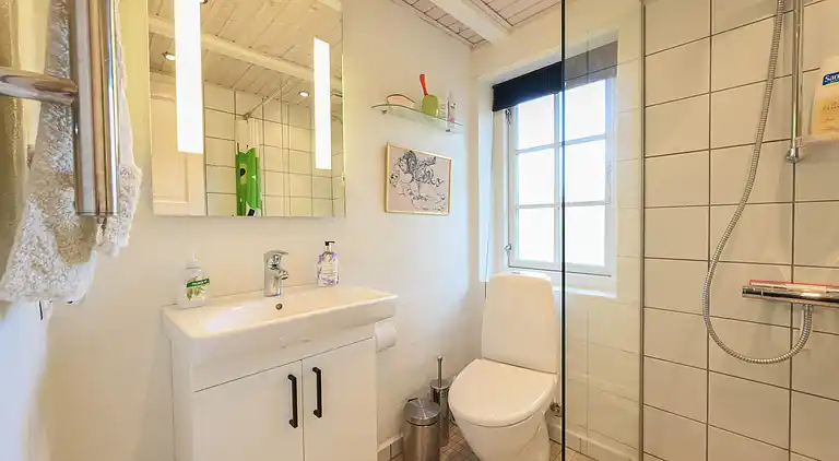 Feriebolig i Ulfborg