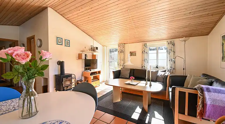 Feriebolig i Ulfborg