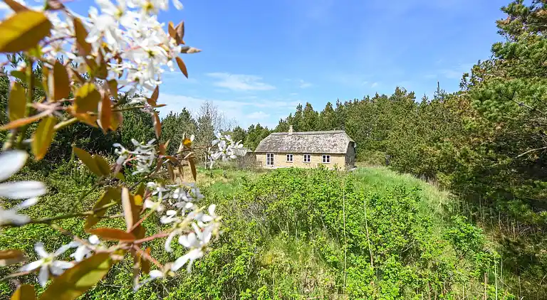 vakantiehuis in Ulfborg