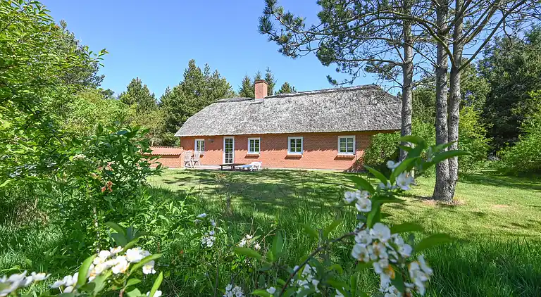 Feriebolig i Ulfborg