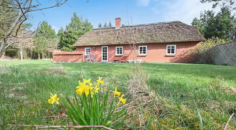 Feriebolig i Ulfborg