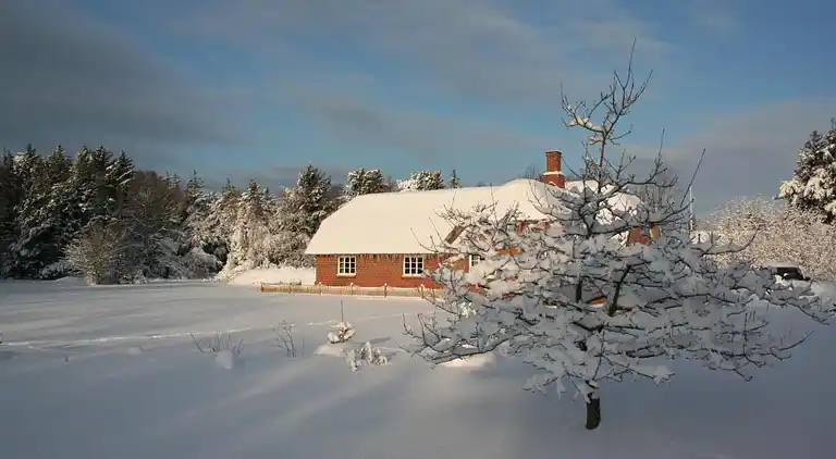 Feriebolig i Ulfborg