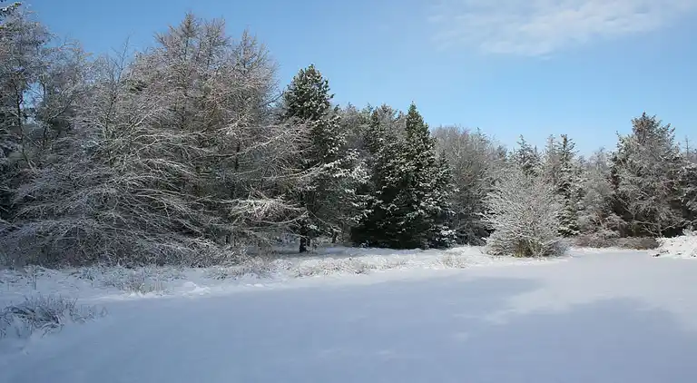 Feriebolig i Ulfborg