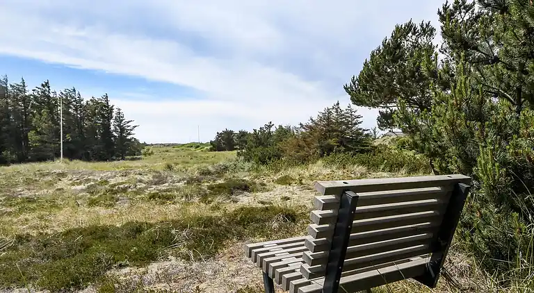 vakantiehuis in Ulfborg