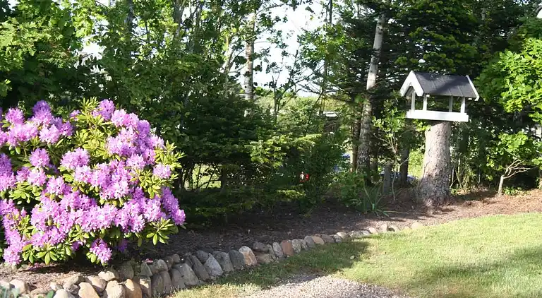 vakantiehuis in Nørre Fjand