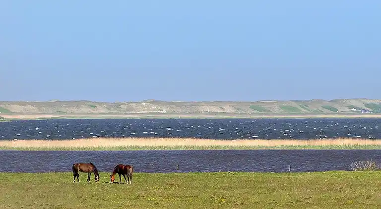Vacation home in Nørre Fjand