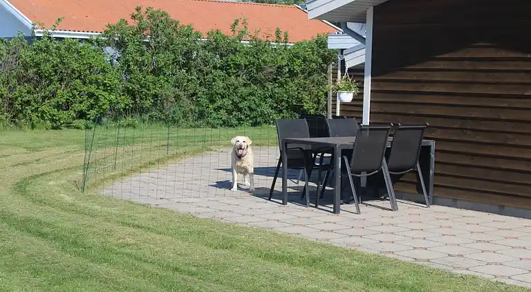 vakantiehuis in Nørre Fjand